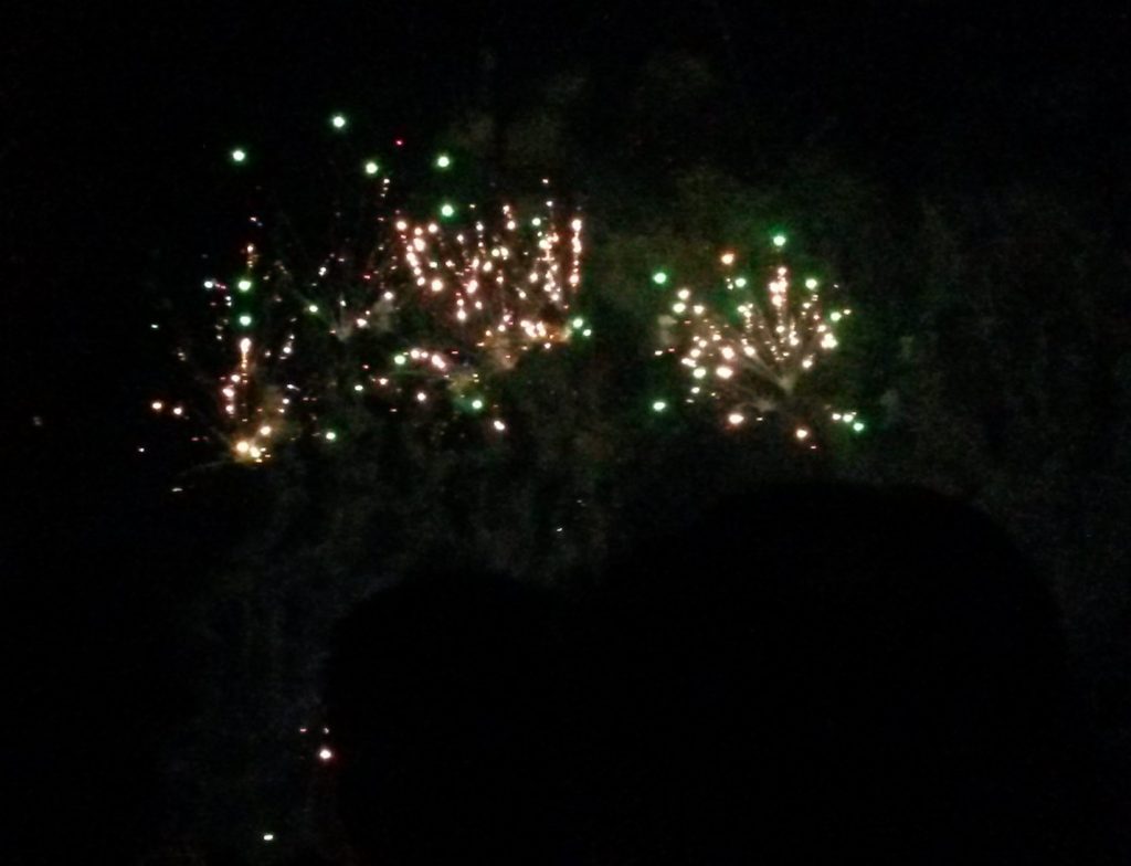 green and gold fireworks cropped