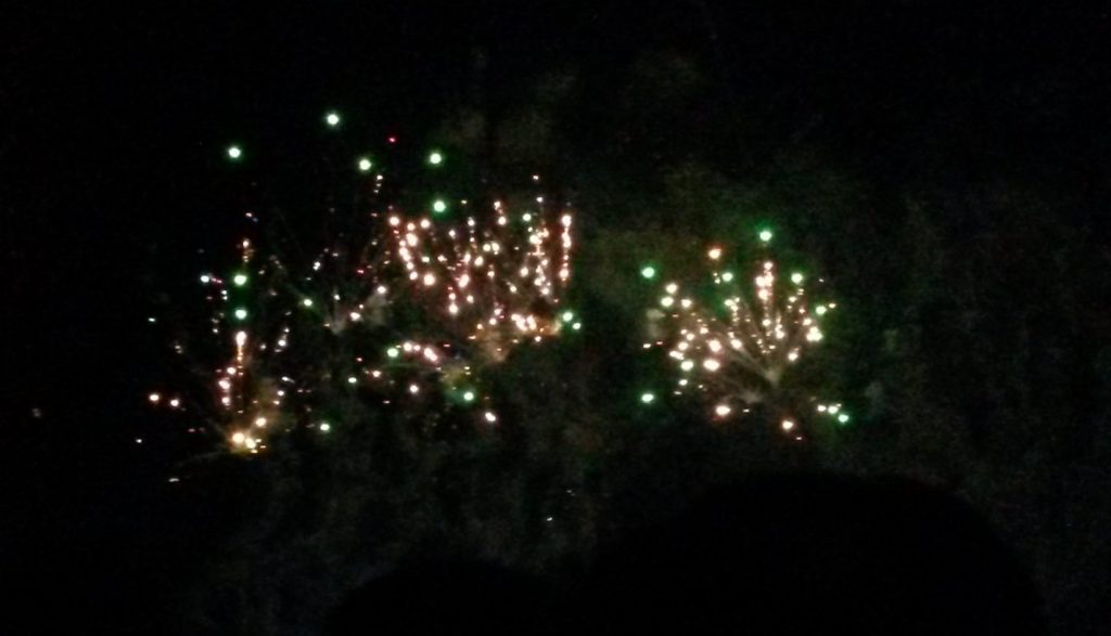 green and gold fireworks cropped 2