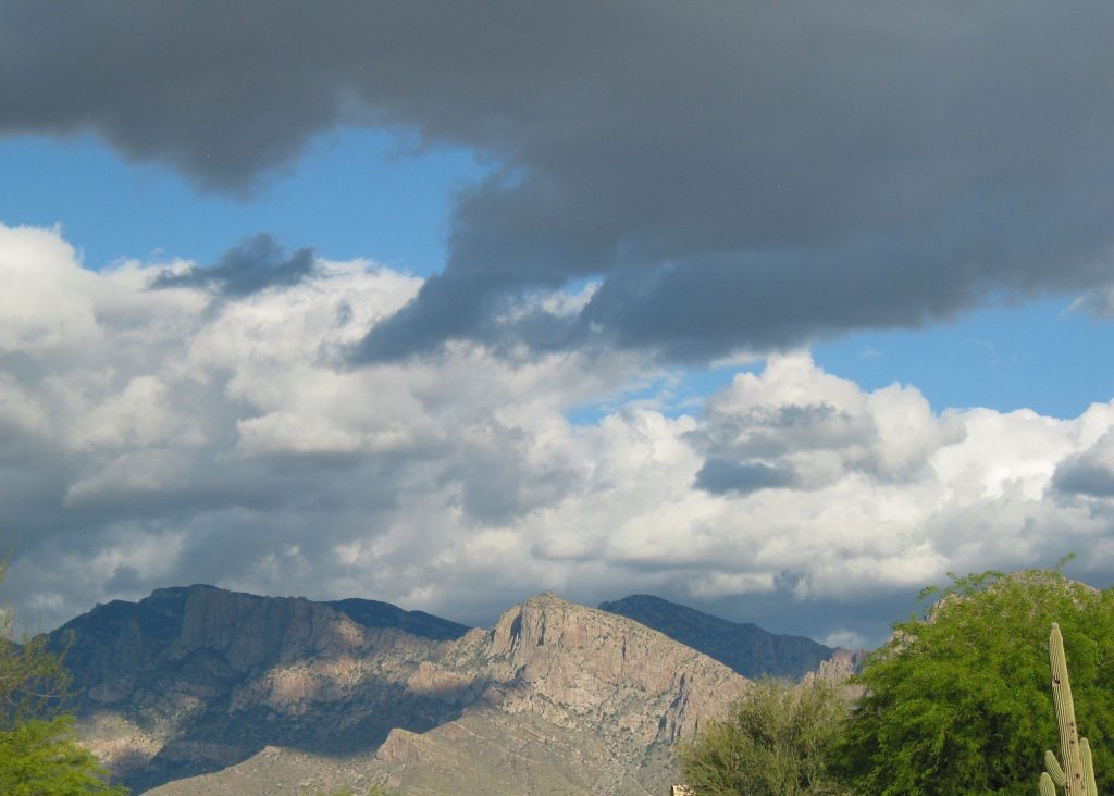 IMG_4789 cropped