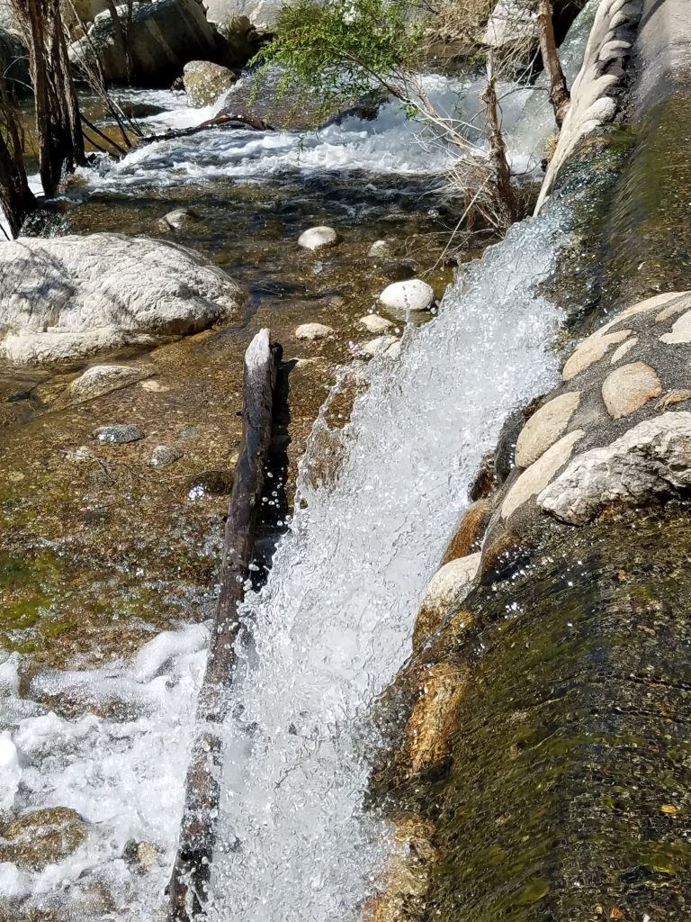 20170313_110203